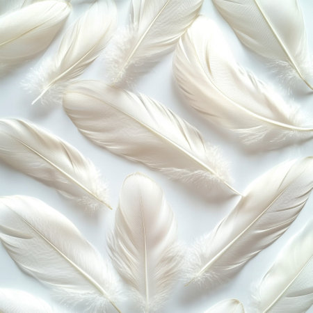 Delicate white feathers spread across a flat surface showcase their intricate details and textures, ideal for crafting or home decor projects.の素材
