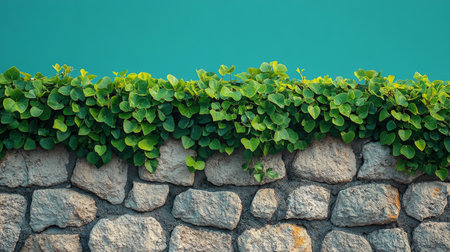 Lush green leaves cascade over a rustic stone wall, creating a vibrant contrast against the bright blue backdrop on a sunny day.の素材