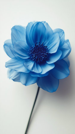 A striking blue flower displays its intricate petal structure and vibrant hue, standing tall with a slender green stem, set against a soft light backdrop.の素材