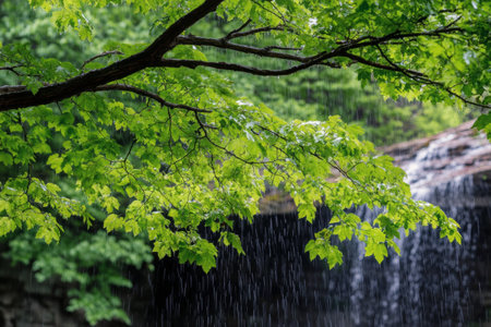 Gentle raindrops cascade down vibrant green leaves, creating a peaceful atmosphere near a calming waterfall surrounded by lush forest greenery in springtime.の素材
