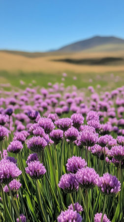 Purple wildflowers flourish across a green hillside, creating a vivid contrast against the blue sky. The landscape stretches into the distance, showcasing rolling hills under soft clouds.の素材