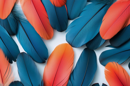 Colorful blue and orange feathers are arranged in a captivating pattern, showcasing their intricate details and textures against a light backdrop.の素材