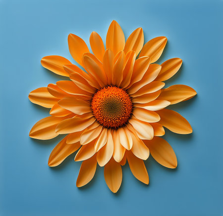A vibrant orange gerbera daisy stands tall with a green stem, surrounded by its scattered petals on a soft light blue background. The arrangement is a flat lay.の素材