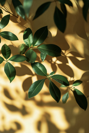 Lush green leaves gently rest on a yellow wall, creating intricate shadows that dance across the surface as sunlight filters through, enhancing the warm atmosphere.の素材