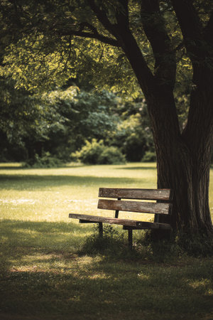 A rustic wooden bench rests beneath a leafy tree in a serene park. Sunlight filters through the branches, illuminating the lush green grass in the early morning.の素材