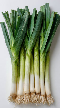 A bunch of fresh leeks with vibrant green tops and white bulbs is arranged on a clean white background, showing off their crisp texture and natural beauty.の素材