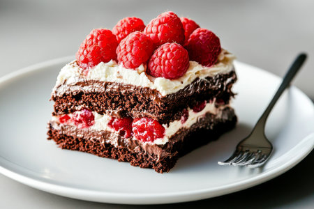 Rich layers of chocolate cake, creamy filling, and fresh raspberries create an indulgent dessert served on a white plate, perfect for any special occasion or celebration.の素材