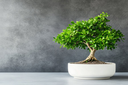 A bonsai tree with lush green leaves is elegantly displayed in a simple white pot. The neutral background enhances the intricate details of the tree as it stands.の素材