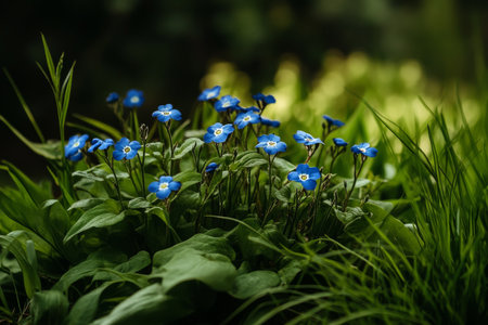 A cluster of vibrant blue flowers grows amidst tall green grass in a peaceful meadow. Sunlight filters through the trees, creating a serene spring atmosphere.の素材