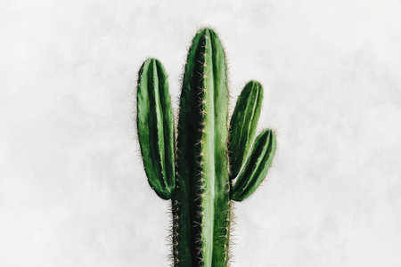 A tall cactus with thick, green leaves is prominently displayed against a bright, neutral background, showing its unique shape and texture. Perfect lighting highlights the features.の素材