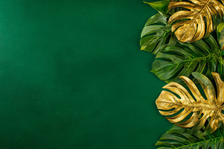A composition of lush monstera leaves arranged beautifully against a dark green backdrop, showing the intricate patterns and textures of the foliage in a serene environment..の素材