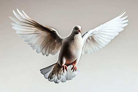 A white bird soars gracefully through the air, showing its wings widely spread and its vibrant plumage. This moment captures the beauty and freedom of avian life.の素材