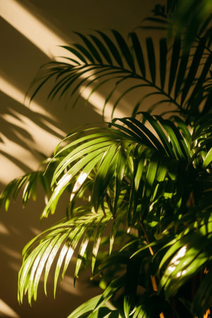 Sunlight filters through leaves, casting patterns on the wall in a warm, inviting indoor setting that brings nature inside. The vibrant green adds life to the decor.の素材