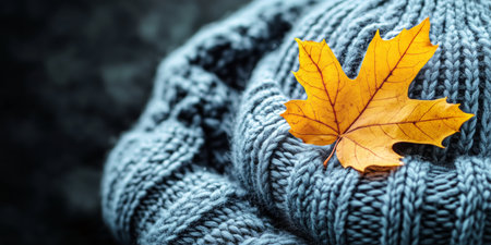 A cozy knitted hat in a soft blue color is placed on a dark background. An amber autumn leaf rests on top, highlighting the seasonal change and warmth of fall fashion.の素材