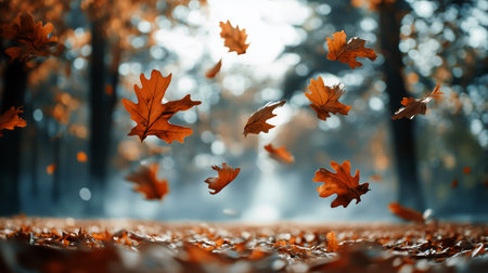 Bright orange and red leaves drift down from trees, creating a vibrant carpet on the ground in a serene forest during the evening light of autumn.の素材