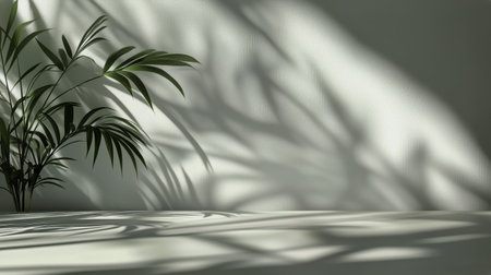 Soft shadows of leaves fall elegantly on a light-colored wall, creating a tranquil atmosphere in a quiet indoor space during early morning hours.の素材