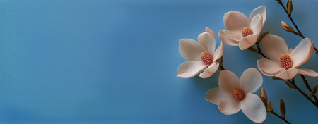 Pink magnolia flowers bloom against a blue backdrop, capturing the essence of spring. The delicate petals and branches form a graceful arrangement inviting tranquility and beauty.の素材