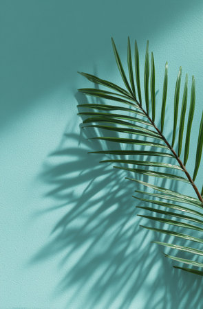 A palm leaf rests on a light blue surface, casting intricate shadows. The bright colors create a calm and serene atmosphere while showing the leaves unique structure.の素材
