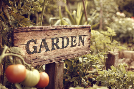 A rustic wooden sign displays the word garden, surrounded by vibrant green plants and ripe tomatoes in the warm afternoon light. The scene captures a peaceful gardening moment.の素材