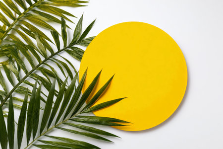 A vibrant yellow circle is placed at the center, framed by lush green palm leaves on a clean white surface, creating a fresh and modern look suitable for various design projects..の素材
