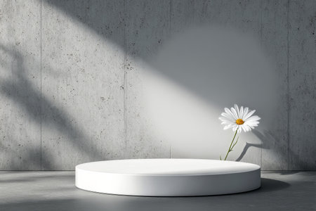 A daisy stands proudly on a smooth round platform against a textured gray wall. Soft daylight creates gentle shadows, highlighting the beauty of the flower.の素材
