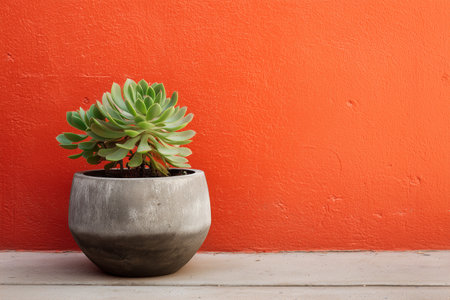 A lush succulent plant sits in a geometric concrete pot. The vibrant orange wall enhances the plants green hues, creating a striking visual contrast in a minimalist setting.の素材