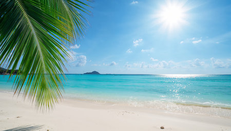 Waves gently lap at the shore of a tropical beach, where clear turquoise water meets soft sand under a bright sun. Palm leaves sway in the warm breeze, creating a peaceful scene.の素材