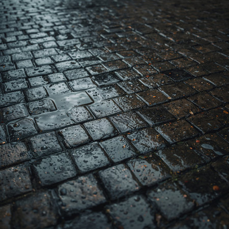 Rain has left water on the cobblestone path in the city. The wet stones create a shiny surface. Clouds hang overhead, and the street appears quiet and empty.の素材