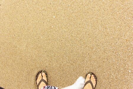 on a sunny day sea wave washes sand and legsの写真素材