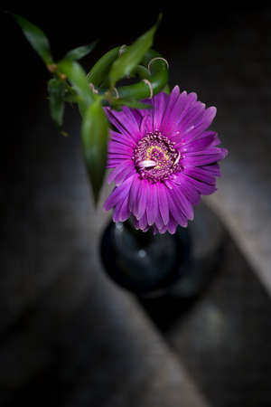flowers chrysanthemum bamboo shoots leaves twisted vase jar bottle table petals background light...