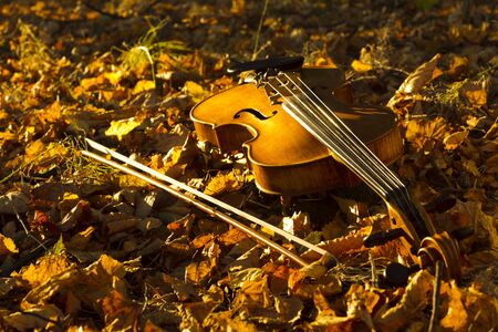 Violin lying on fallen leaves in the autumn forest, illuminated by the evening sunの写真素材