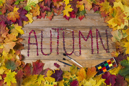 Frame of autumn leaves on a wooden background, studio lighting, the view from the topの写真素材