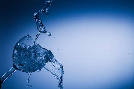 Fougeres, pouring a glass of water, studio lightingの写真素材