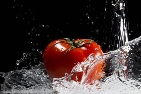 Red tomatoes with splashes and drops of water on black and white background, studio lighting, a short pulseの写真素材