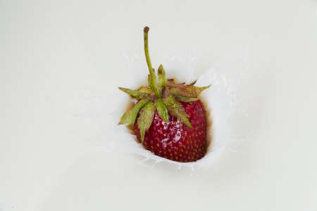 Red strawberry falls in milk, studio lighting, Macroの写真素材