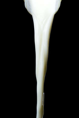 Fluffy natural milk on a black background, studio lightの写真素材