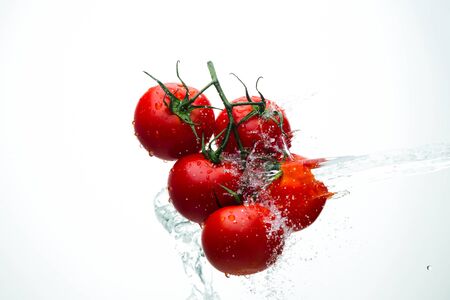 Tomatoes red on a green branch in streams of water, white background, studio lightの写真素材