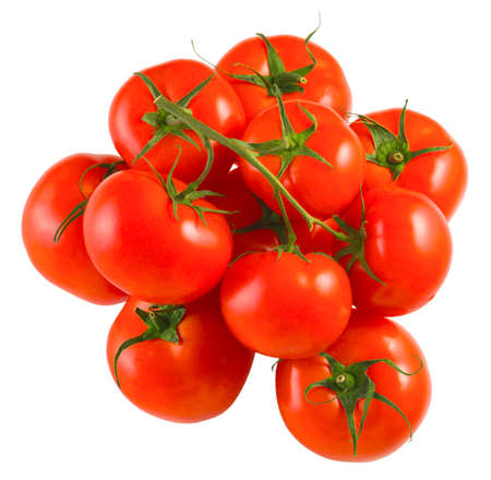 Red tomatoes of fresh harvest on a branch  on an isolated  white background, top viewの写真素材