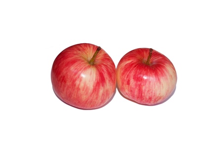 Apples on white backgroundの写真素材