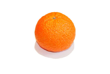 Orange on white backgroundの写真素材