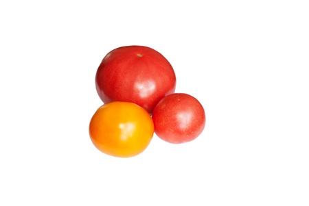 Yellow and red tomatoes on white backgroundの写真素材