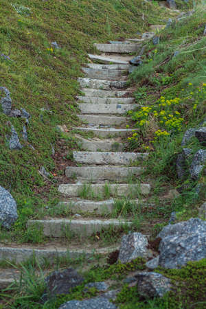 The old stone steps on a hill rising on either side grass. Stone stairs up a grass hill