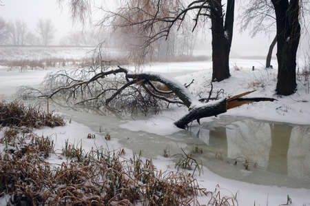 on the riversideの写真素材