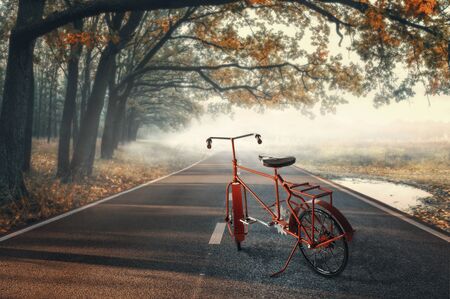 Vintage red Bike on the autumn roadの写真素材