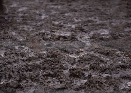Texture of mud and puddles top vew - close-up