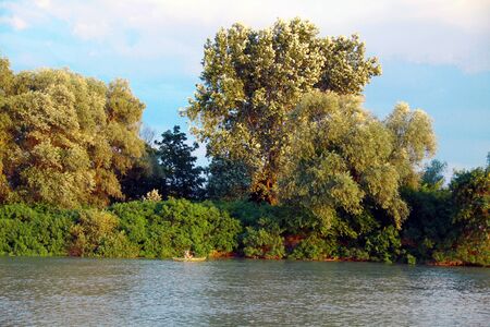 View of the forest across the riverの写真素材