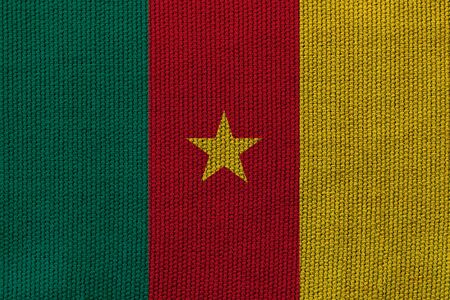 kamerun flag on the background texture. Concept for designer solutions.の写真素材