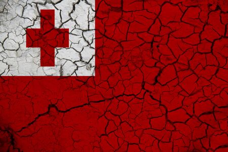 tonga flag on the background texture. Concept for designer solutions.の写真素材