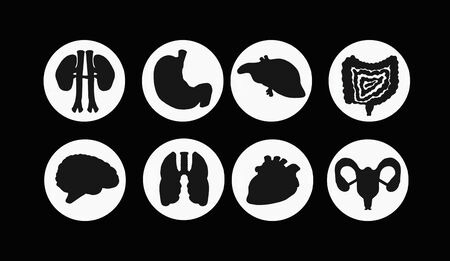 Icon set of human internal organs. Illustration in black and white style isolated on a white background. Heart, brain, lungs, liver, stomach, kidneys, genitourinary system, intestines iconsの写真素材