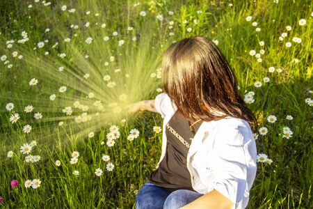 a girl in a field of daisies reaches for daisies. Childhood concept. Cute girl in a field of blooming daisies in the summer. Wildflowers.の写真素材